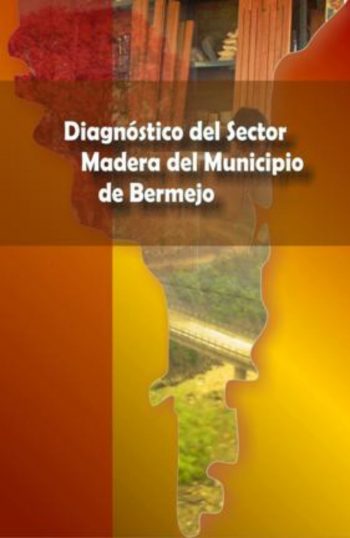 08. Diagnóstico del Sector Madera del Municipio de Bermejo